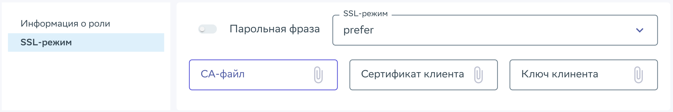 Скриншот области окна SSL-режима