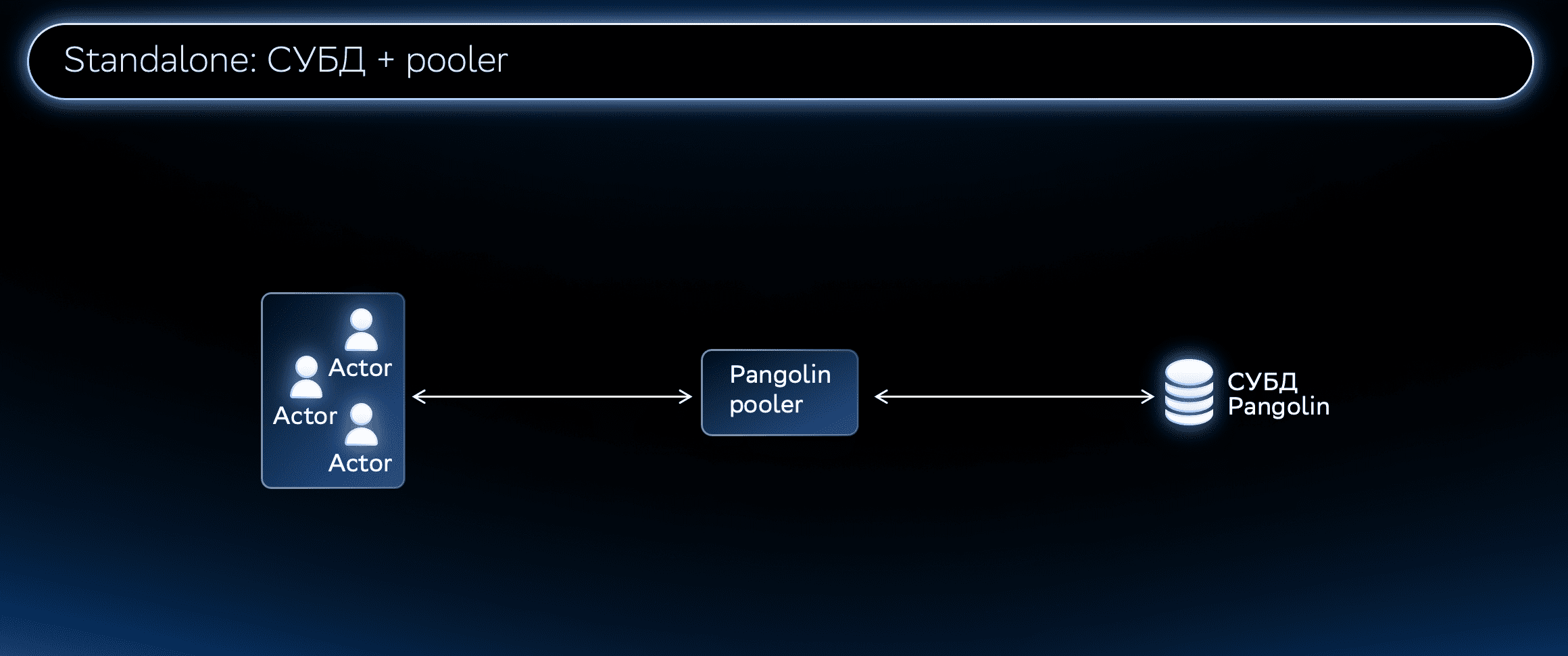 Схема standalone конфигурации: Pangolin DBMS + Pangolin Pooler