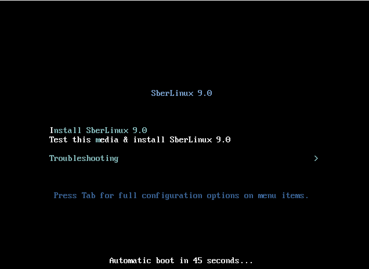 Выбор действий при загрузке