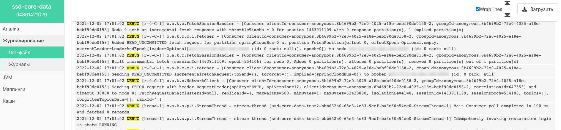 DEBUG - обращение к API Kafka.png